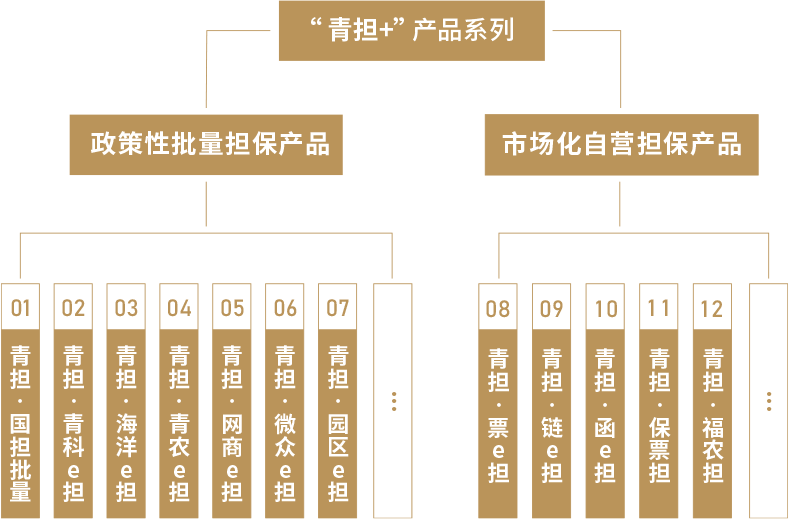 打造“青担+”担保系列产品