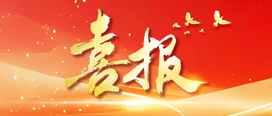 喜报！青岛融资担保集团一集体、两个人获青岛市属金融企业“两优一先”表彰